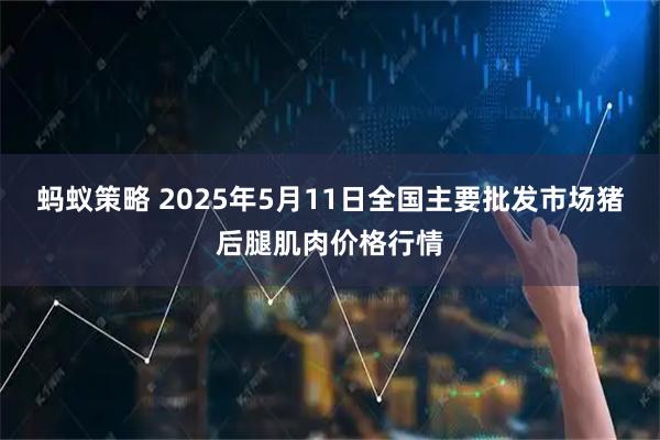 蚂蚁策略 2025年5月11日全国主要批发市场猪后腿肌肉价格行情