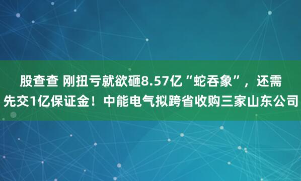 股查查 刚扭亏就欲砸8.57亿“蛇吞象”，还需先交1亿保证金！中能电气拟跨省收购三家山东公司