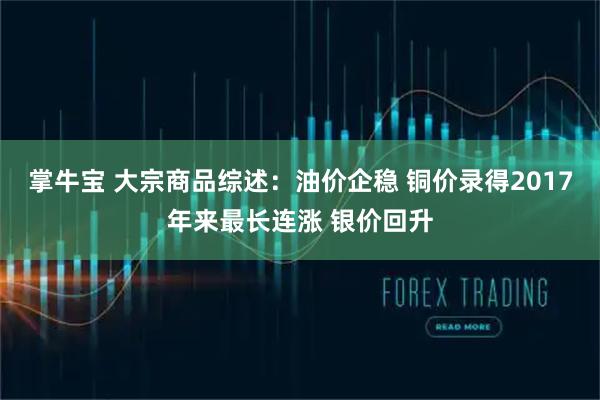 掌牛宝 大宗商品综述：油价企稳 铜价录得2017年来最长连涨 银价回升