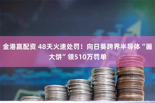 金港赢配资 48天火速处罚！向日葵跨界半导体“画大饼”领510万罚单